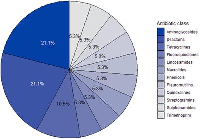 Method to Assess Farm-Level Vaccine and Antibiotic Usage Utilizing Financial Documentation: A Pilot Study in a Commercial Pig Farm in South Africa From 2016 to 2018